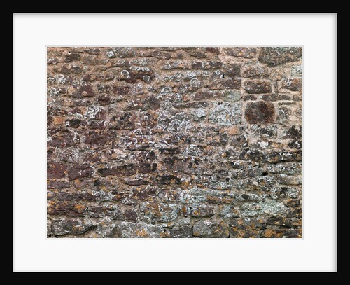 Old brick wall by Assaf Frank